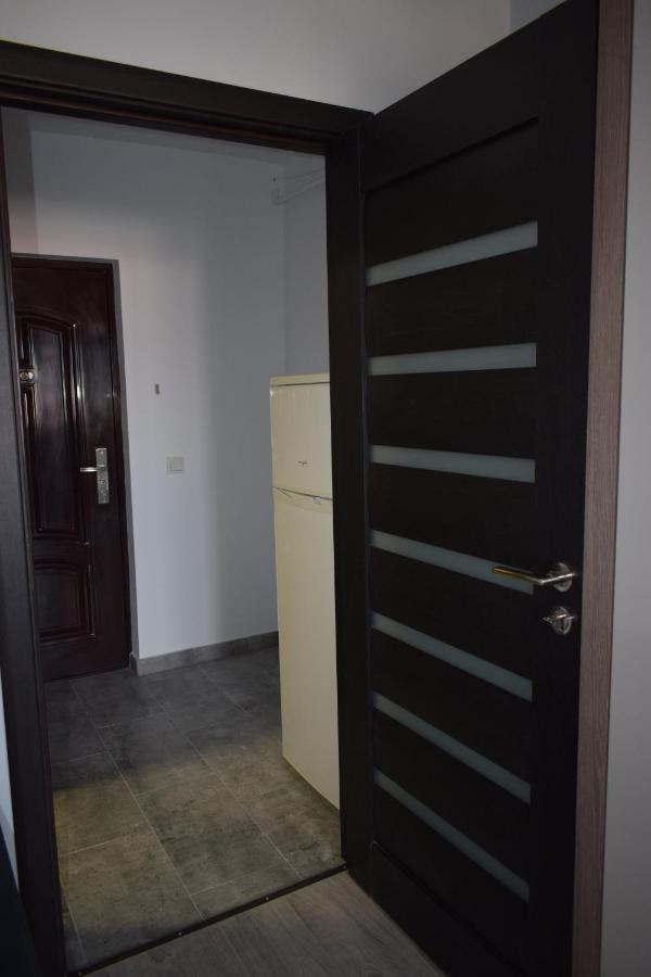 Apartament Palatul De Justitie Rhbm Baia Mare Exterior photo